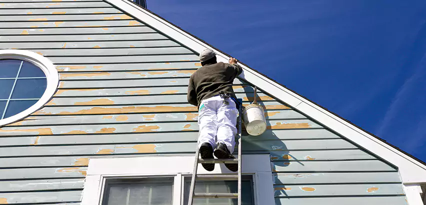 Professional Roof and Siding Repair Services in Joliet, IL