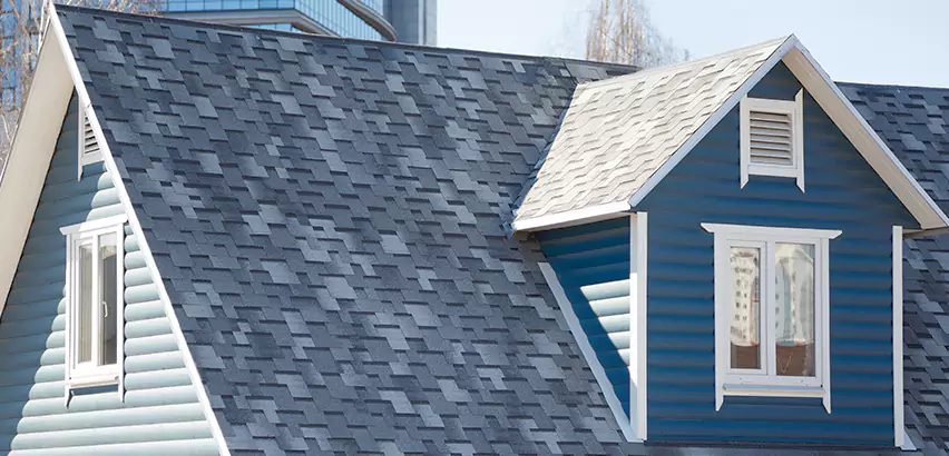 Shingle Roof Maintenance in Joliet