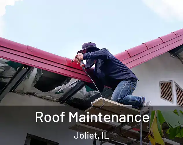  Roof Maintenance Joliet, IL