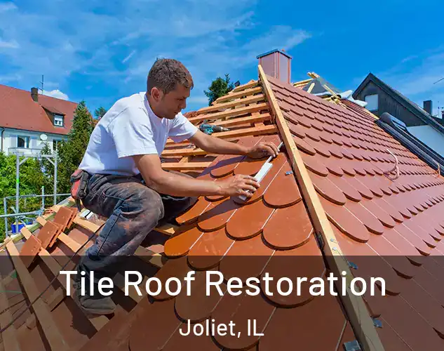  Tile Roof Restoration Joliet, IL
